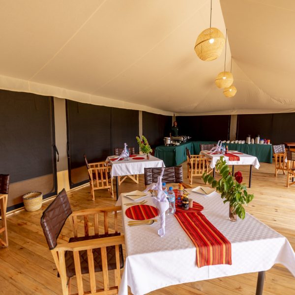 Serengeti Classic View Camp (104)