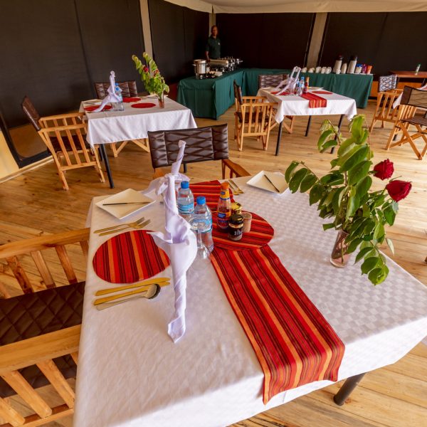 Serengeti Classic View Camp (105)